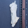 Faden Quartz 64.2g