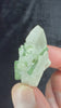 Quartz w/Green Tourmaline (15.8g)