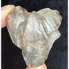 Smokey Elestial Quartz (48.7g)