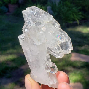 Faden Quartz 142g